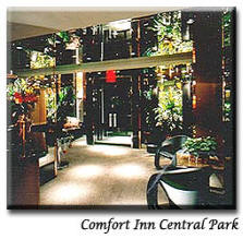 Comfort Inn Central Park